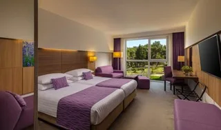 Hotel Punta Croatia standard park view room