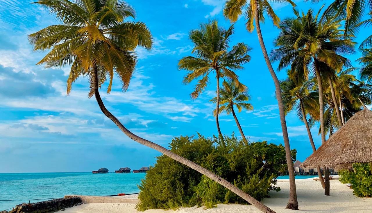 Maldives