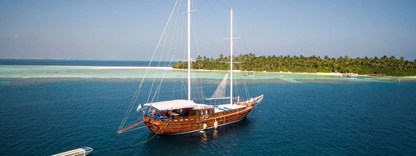 Maldives Wildlife Cruise & Beach Chillout